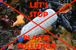 DSC_0560 Lets stop plastic pollution 300