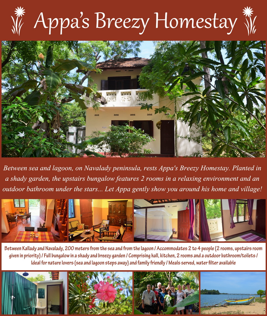 Homestay Batticaloa - Puthumugathuwaram - Appa's Breezy Homestay