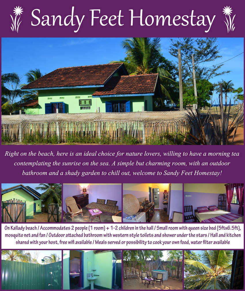 Homestay Batticaloa - Kallady - Sandy Feet Homestay