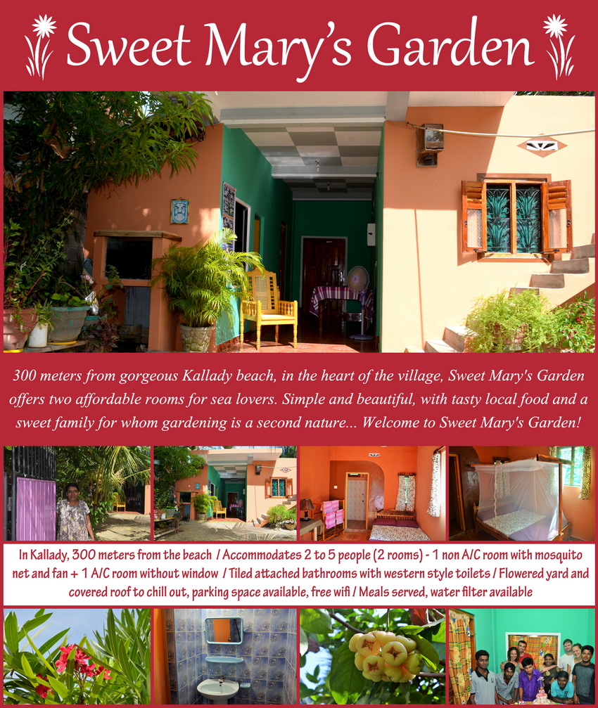 Homestay Batticaloa - Kallady - Sweet Mary's Garden