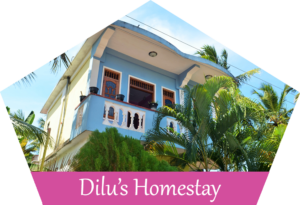 dilus-homestay