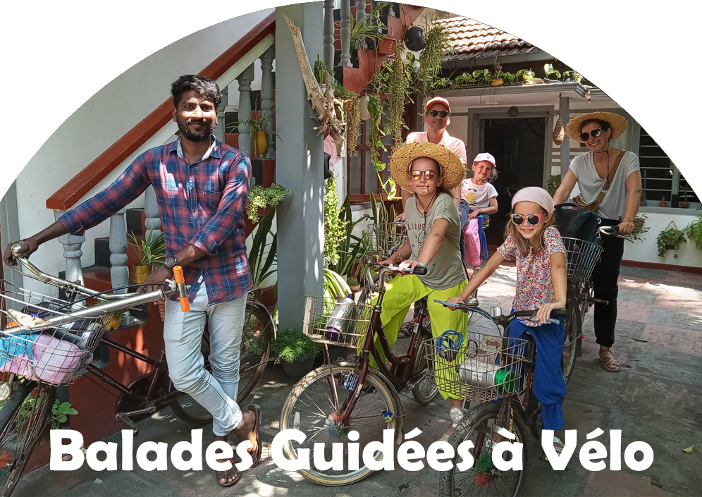 balades-guidees-a-velo