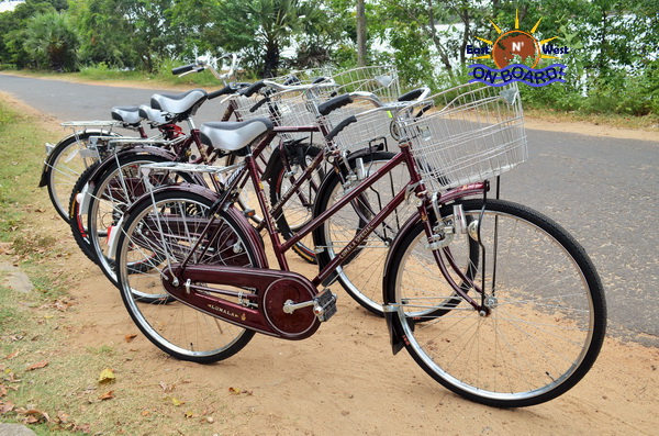 02 - Bicycle rental Batticaloa - East N' West on Board (2)