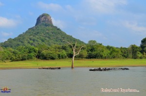 A day in Kudumbimalai - March 2016