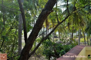 16 - Appa's Breezy Homestay - East N' West on Board  