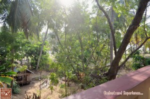 17 - Appa's Breezy Homestay - East N' West on Board  