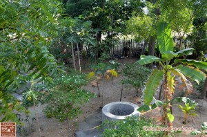 19 - Appa's Breezy Homestay - East N' West on Board  