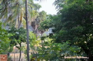 20 - Appa's Breezy Homestay - East N' West on Board  