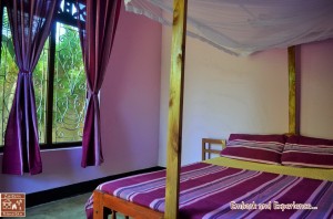 27 - Dilu's Homestay - East N' West on Board  