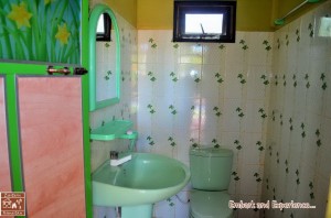 35 - Dilu's Homestay - East N' West on Board   